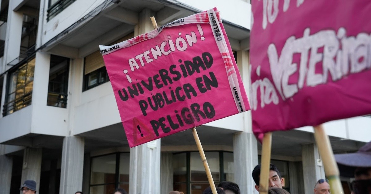 Rosario: Gobierno apelará fallo que obliga a cumplir ley universitaria
