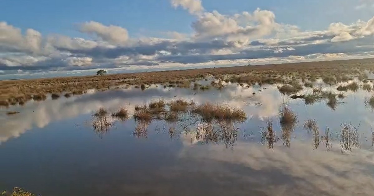 El Niño: crecidas de ríos Uruguay y Paraná generan alarma en el Litoral