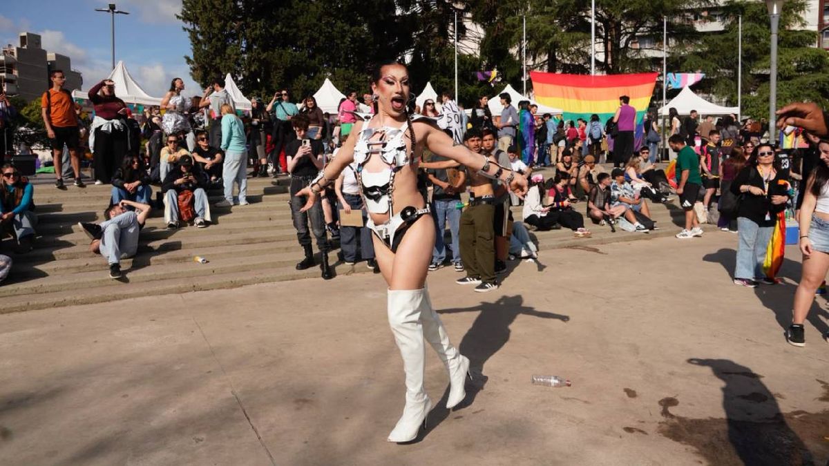 Marcha del Orgullo en Rosario: 20 años del colectivo LGBTQI+