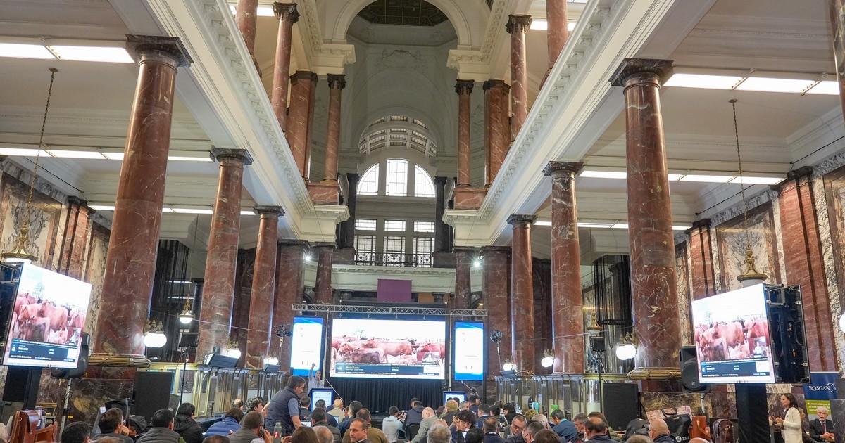 Remate en Rosario: 15.000 cabezas de 9 provincias con precios sostenidos