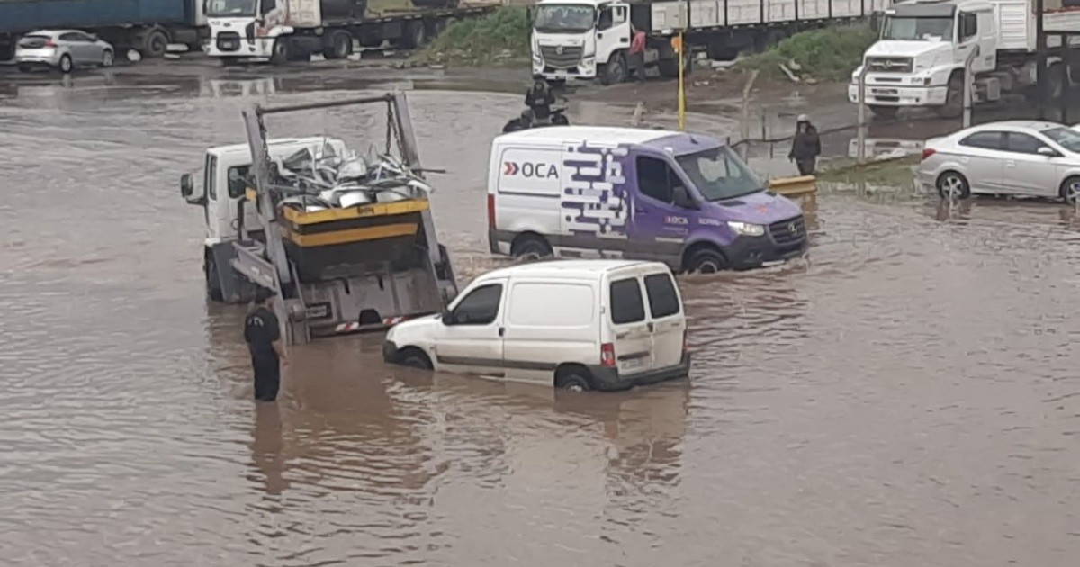 Rosario: Yara apunta a Timbúes y se intensifica la carrera por el puerto