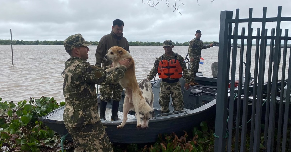Estambul, Turquía, bajo el agua: 2 muertos y 2.700 rescatados por inundaciones